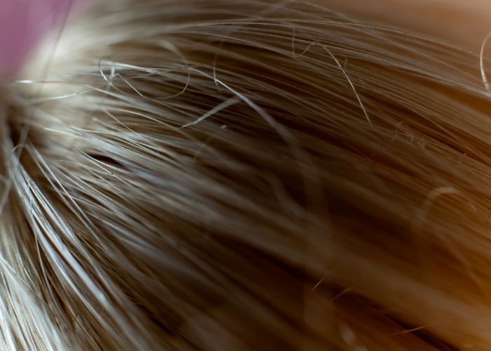 ian-talmacs--urPrvJ3JxA-unsplash